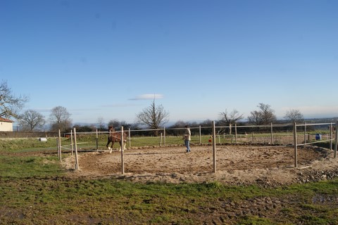 Travail d'assouplissement dans le rond de longe.